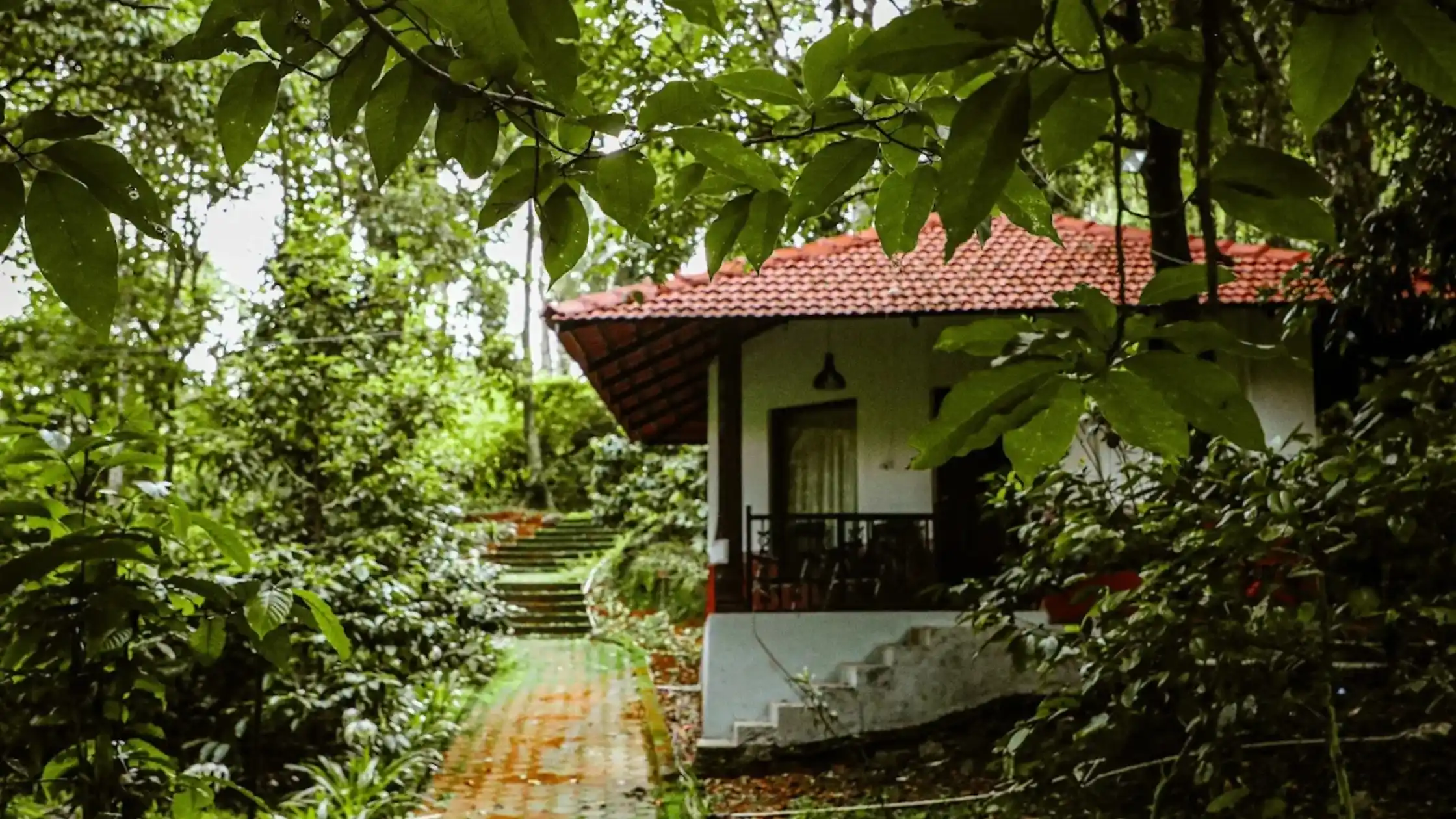 Nature resorts in Sakleshpur surrounded by lush greenery and a cozy cottage.